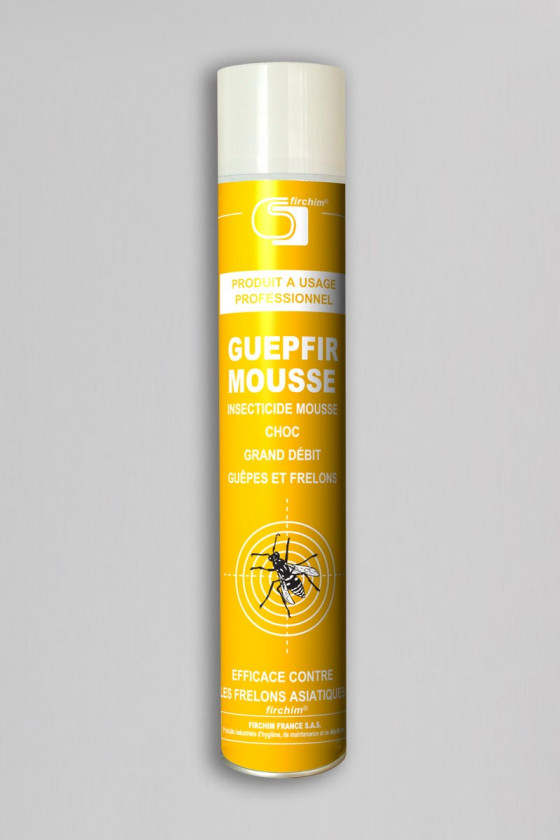Insecticide mousse effet choc